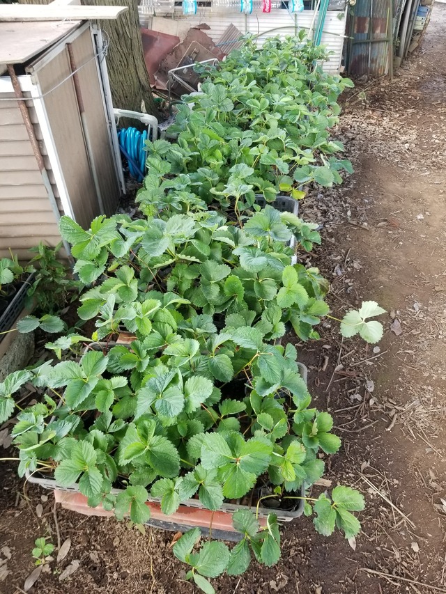 20230721_152512_copy_1512x2016