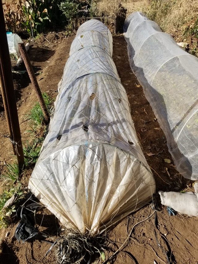 20231217_095458_copy_1512x2016