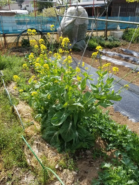 20190423_084933-2268x3024