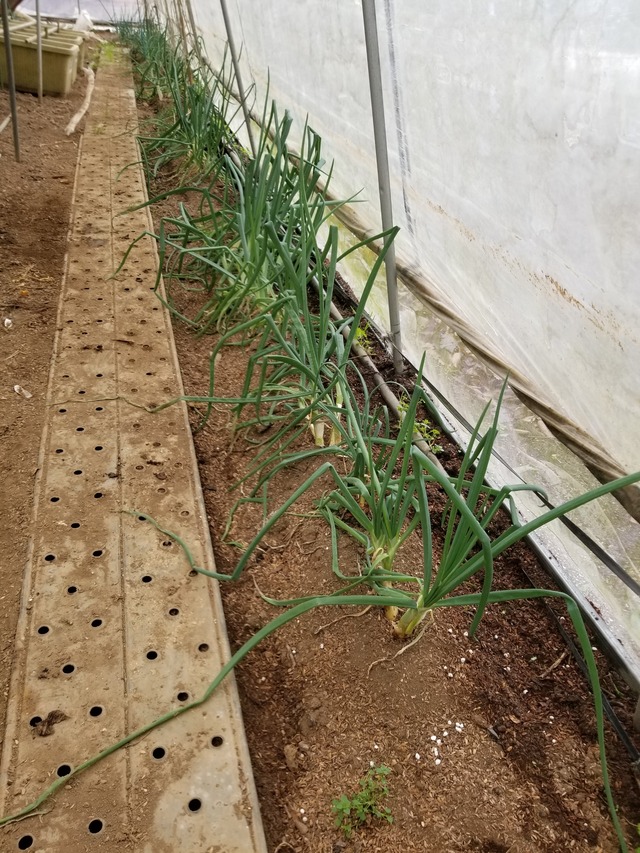 20221206_100650_copy_2268x3024