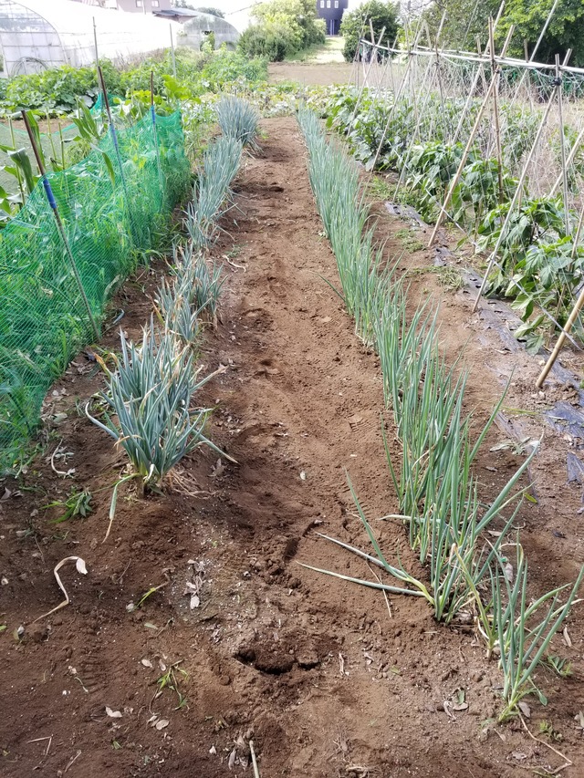 20210628_083412_copy_2268x3024