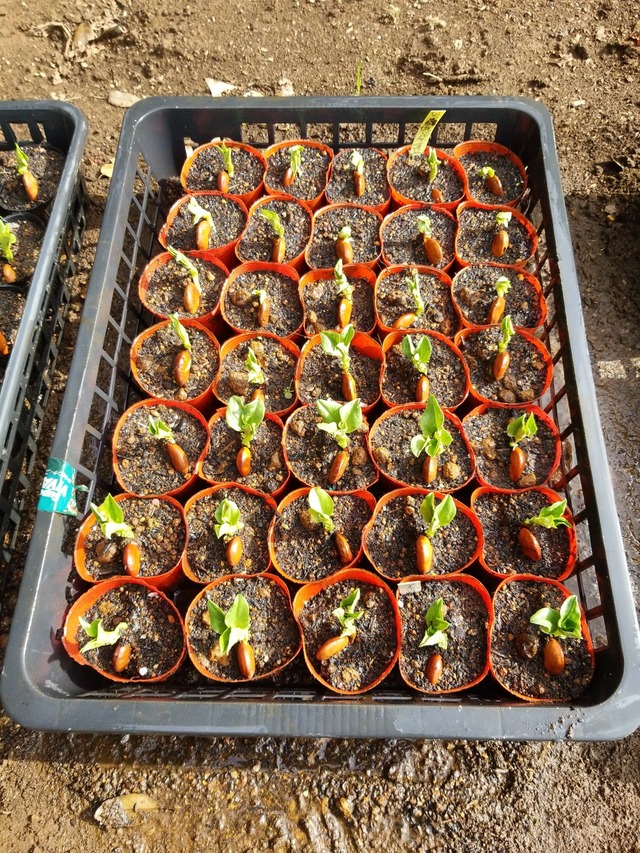 IMG_20231106_103132_DRO_copy_1512x2016