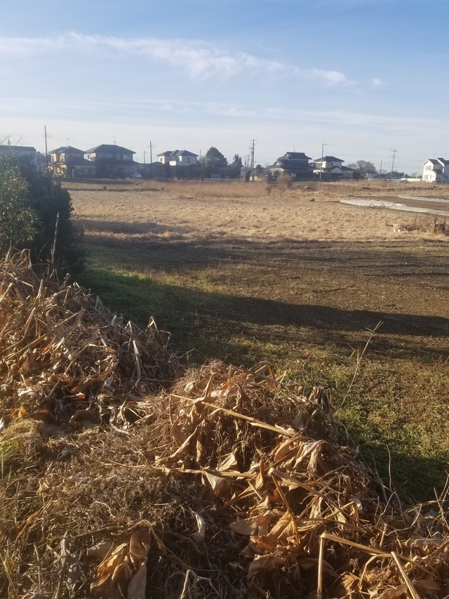 20210210_080121_copy_3024x4032