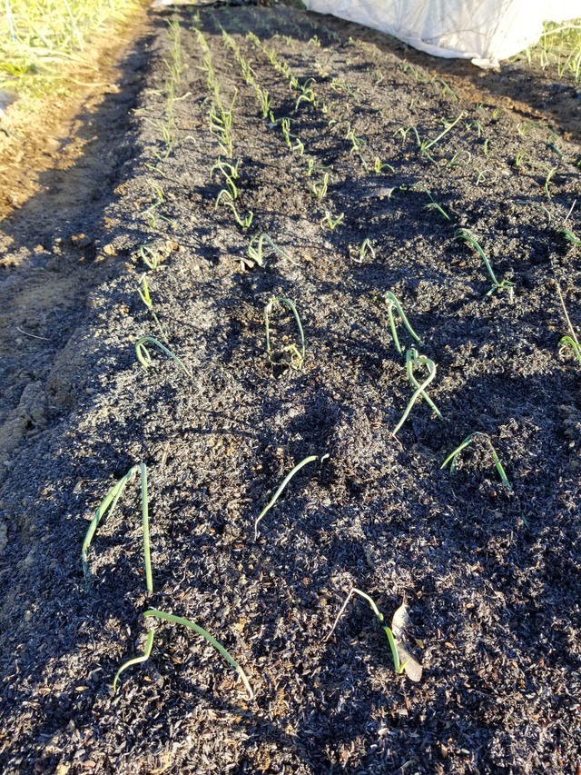 20211223_074912_copy_2268x3024