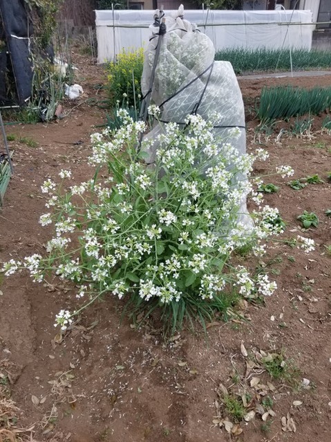 20190422_072939-2268x3024