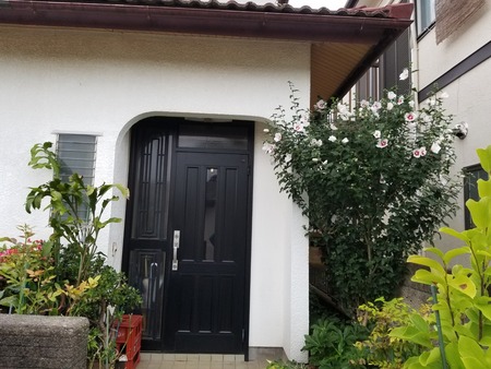 20190706_181732-2160x1620