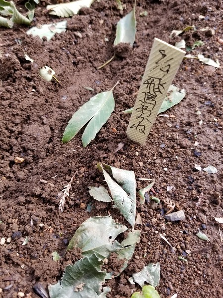 20190909_142044-1620x2160