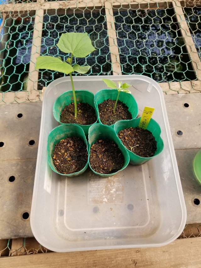 20230719_093114_copy_1512x2016