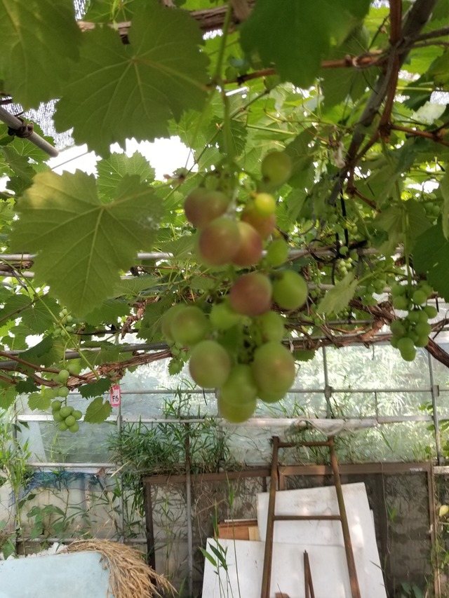 20220711_075740_copy_1512x2016