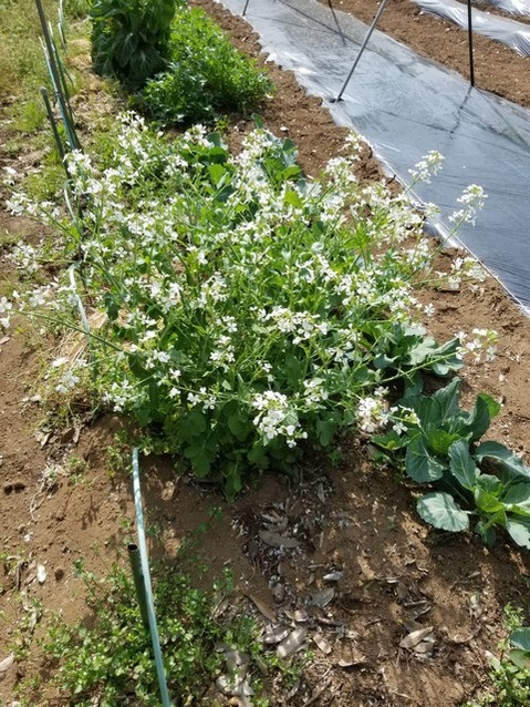 20190423_084909-2268x3024