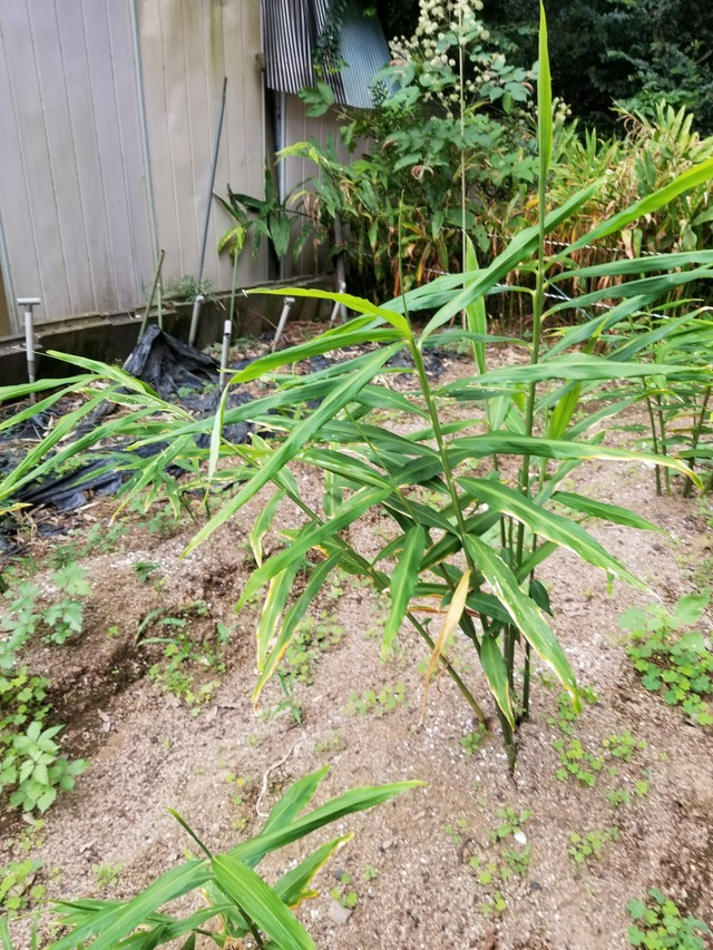 20210925_141220_copy_2268x3024