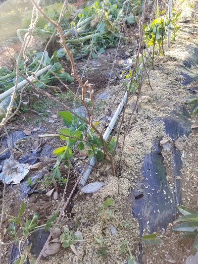 20200209_151337-2268x3024