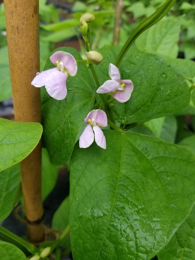 20230520_101135_copy_1512x2016