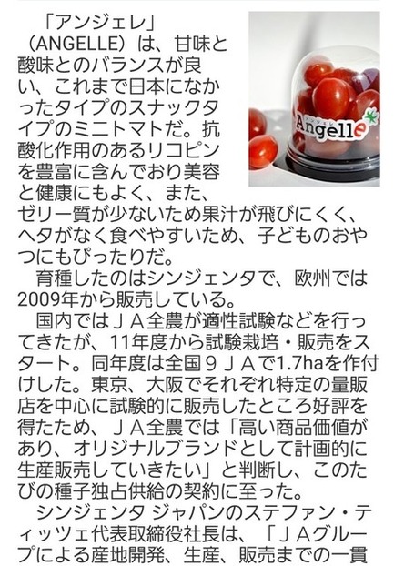 アンジェレ 食べ蒔きミニトマトの苗の生長 のじさんの徒然草 アンジェレ 食べ蒔きミニトマトの苗の生長 のじさんの徒然草