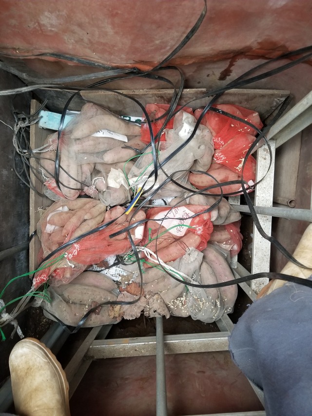 20231211_075135_copy_1512x2016_1