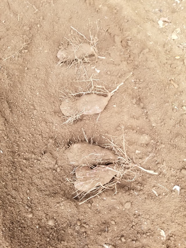 20231115_105100_copy_1512x2016