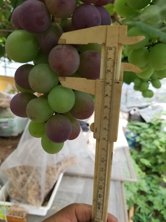 20230708_085726_copy_1512x2016