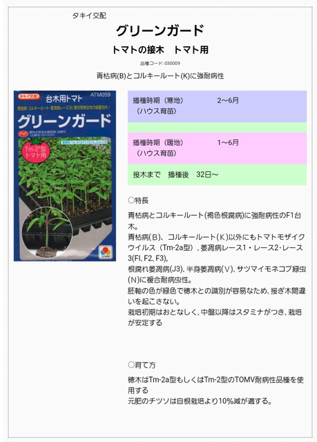 トマトの接ぎ木苗の作り方 のじさんの徒然草