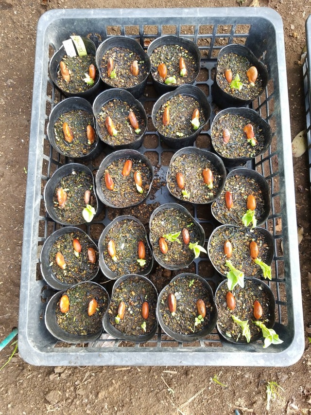 IMG_20231106_083722_DRO_copy_1512x2016