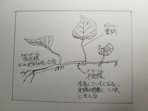 20191108_131432