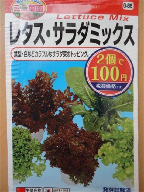 レタス サラダミックス野菜 と ちょい辛ミックス4 のじさんの徒然草