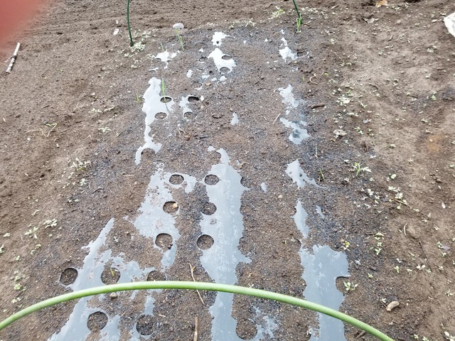 20201009_074612_copy_2268x1701