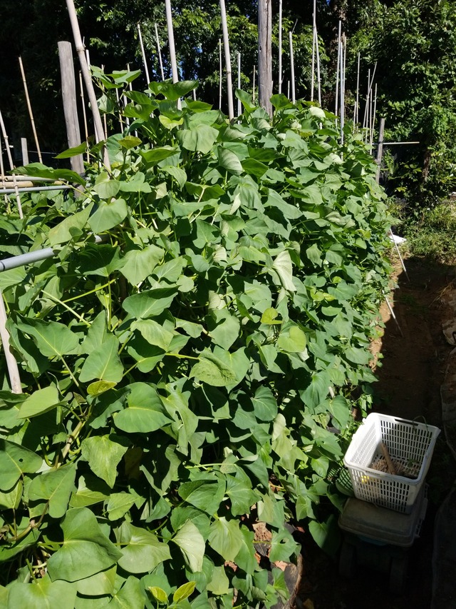 IMG_20230901_093316_copy_1512x2016