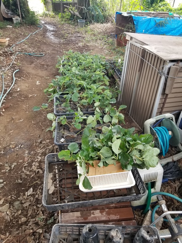 20230821_113355_copy_1512x2016