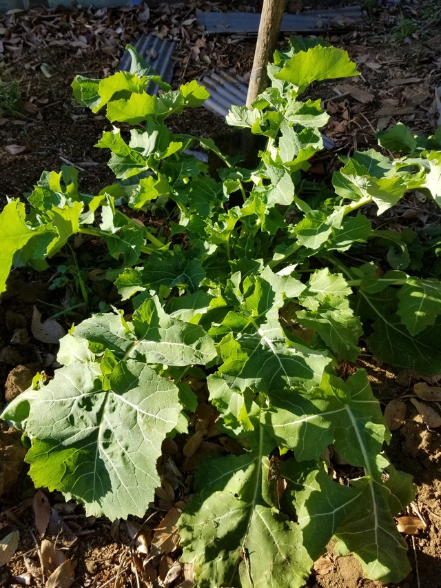 20230104_084526_copy_2268x3024