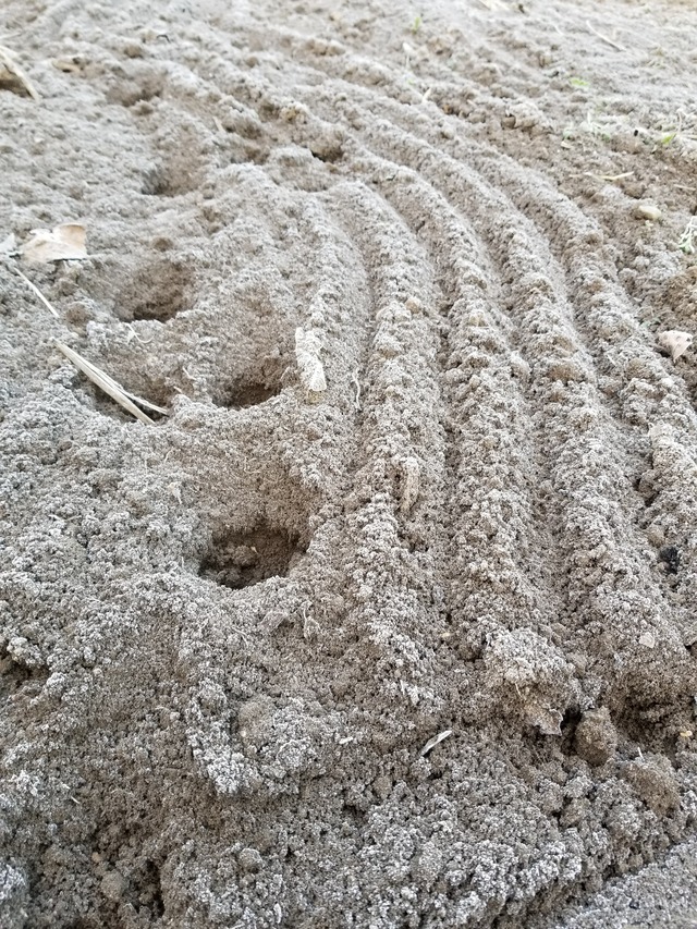 20201215_072653_copy_2268x3024