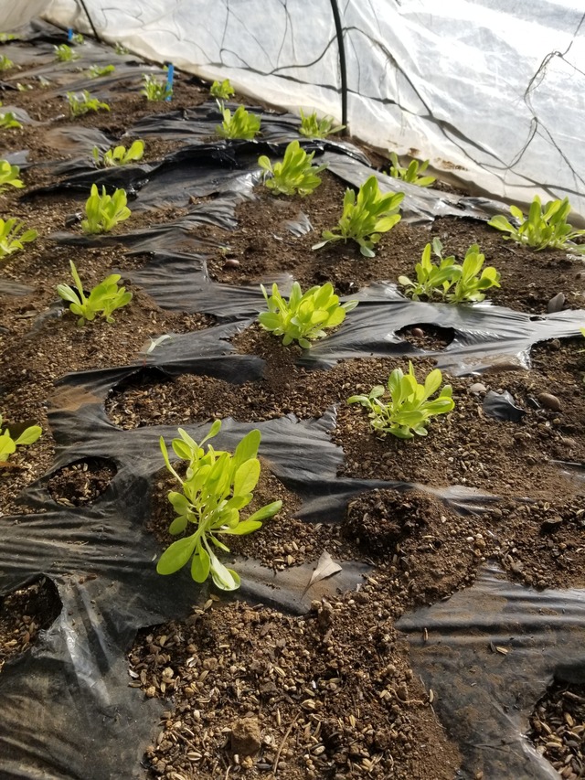 20231217_095201_copy_1512x2016