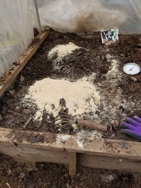 20190329_081048-1024x1365