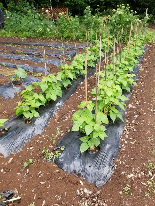 20230520_100337_copy_1512x2016