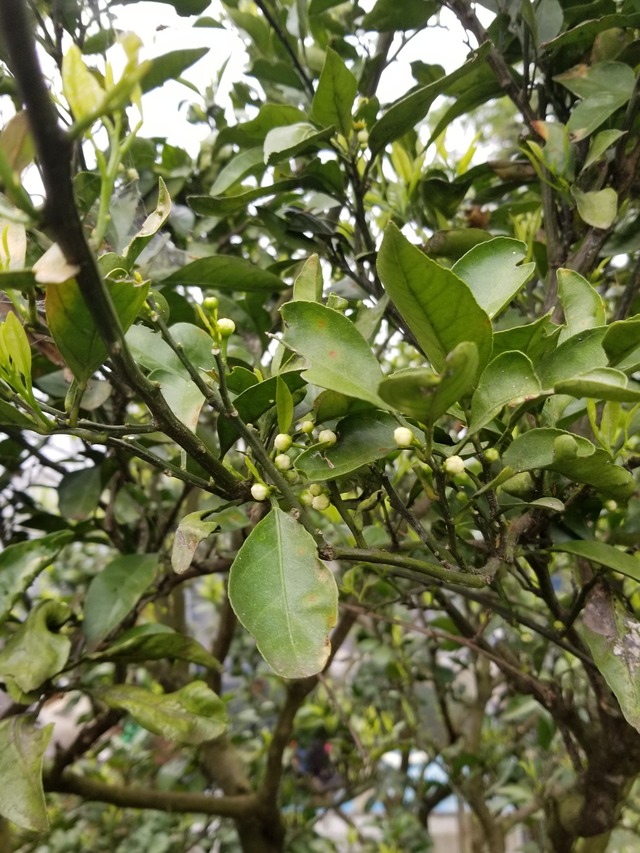 20230422_082633_copy_1512x2016