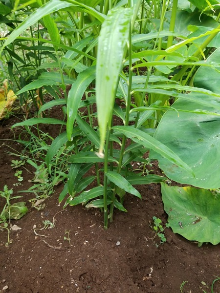 20190816_082739-1620x2160