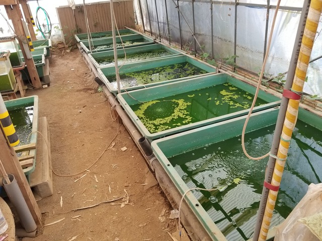 20230506_102011_copy_2016x1512