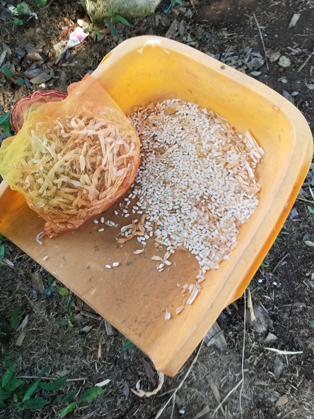 20230725_152612_copy_1512x2016