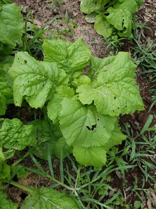 20191007_083149-1620x2160