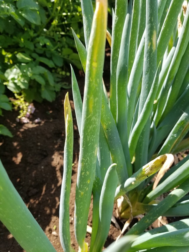 20230601_084908_copy_1512x2016