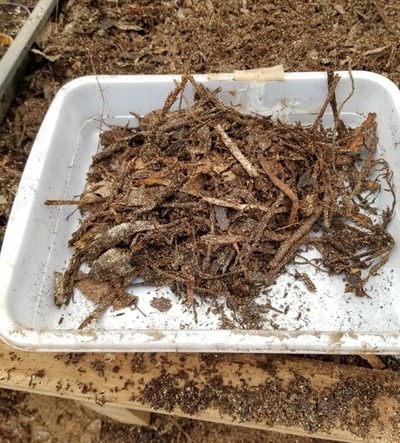 20190330_092436-1024x1365