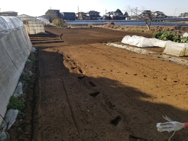 20240212_092126_copy_3024x2268