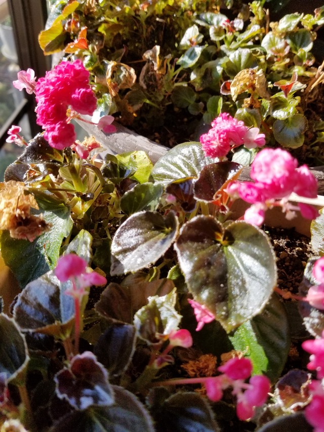 20220116_103517_copy_2268x3024