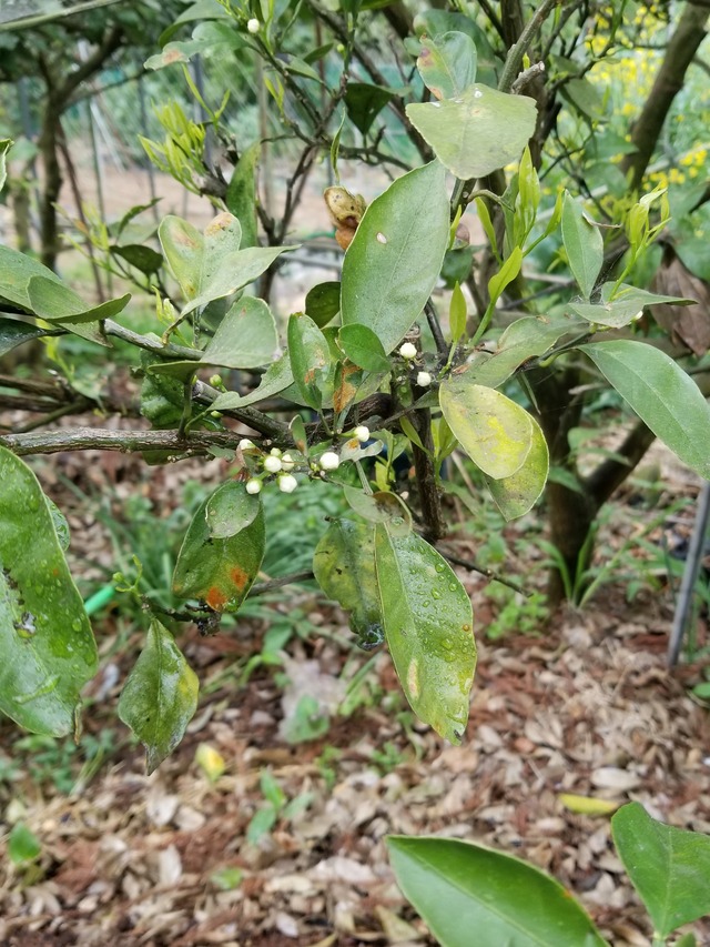 20230422_082617_copy_1512x2016