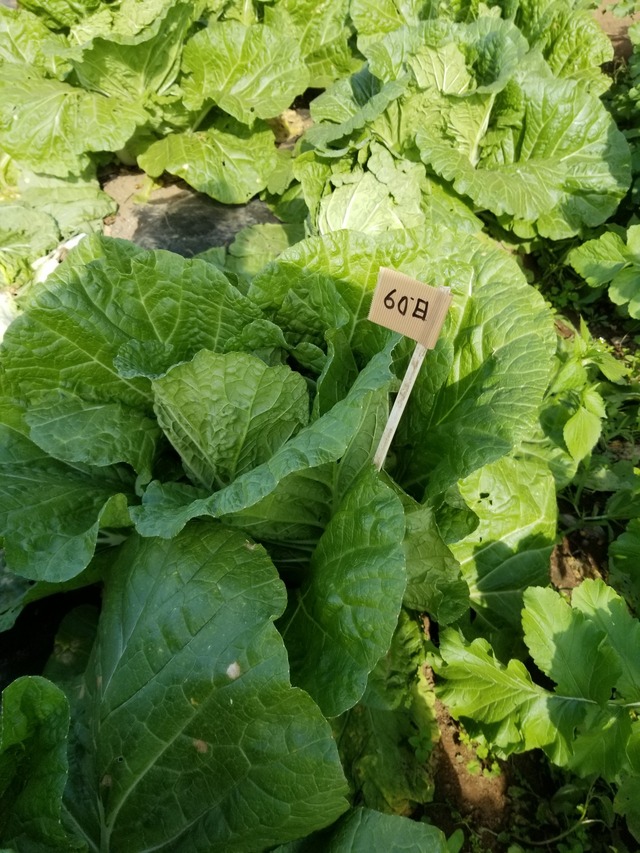 20221107_094235_copy_1512x2016