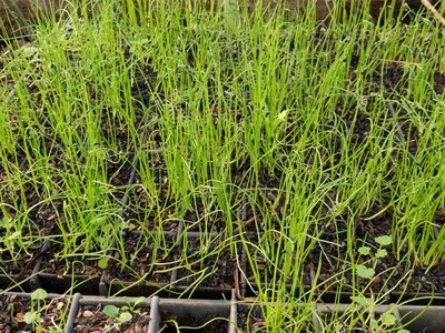 20200124_080107-3024x2268