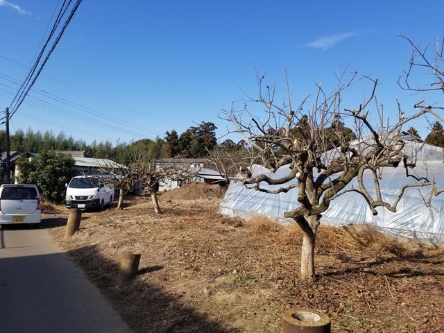 20240110_112724_copy_2016x1512