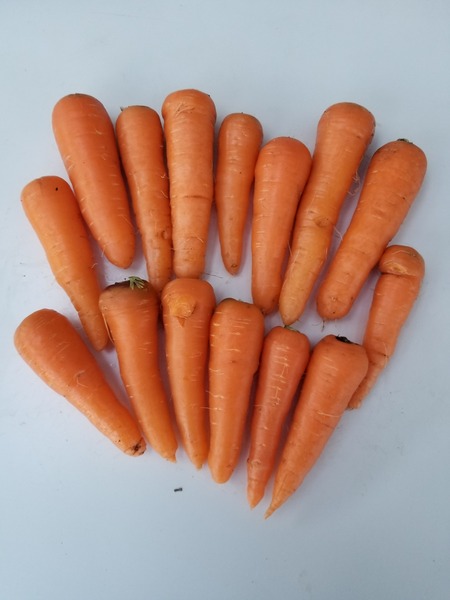 20191229_094947-2268x3024