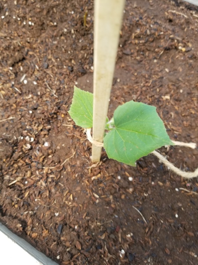 20230724_103943_copy_1512x2016