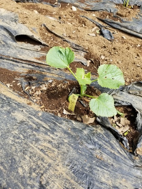 20190515_085537-1620x2160