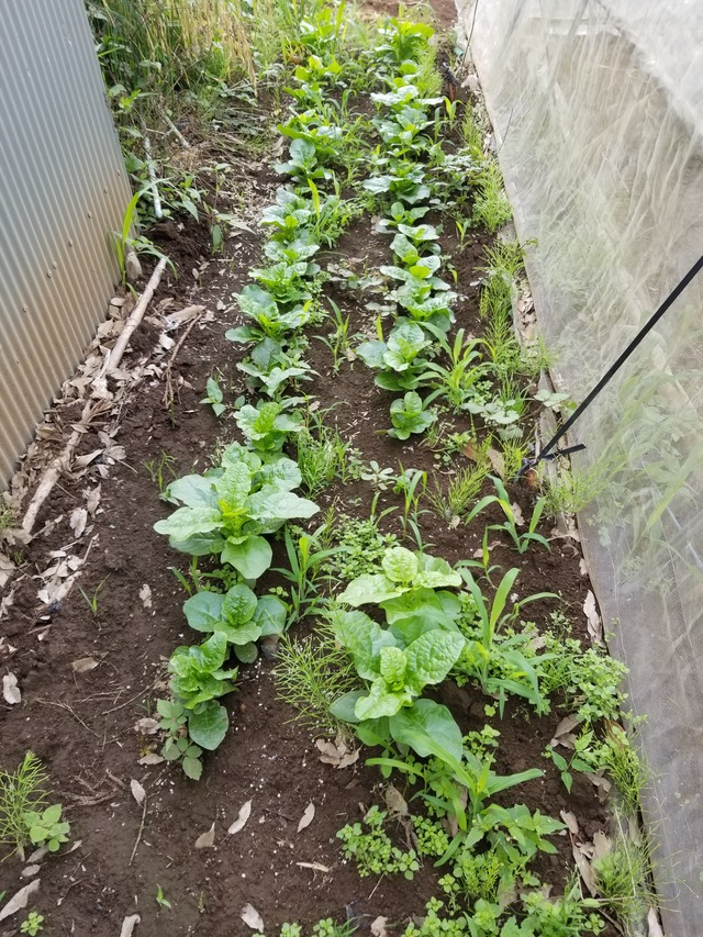 20210617_080550_copy_2268x3024